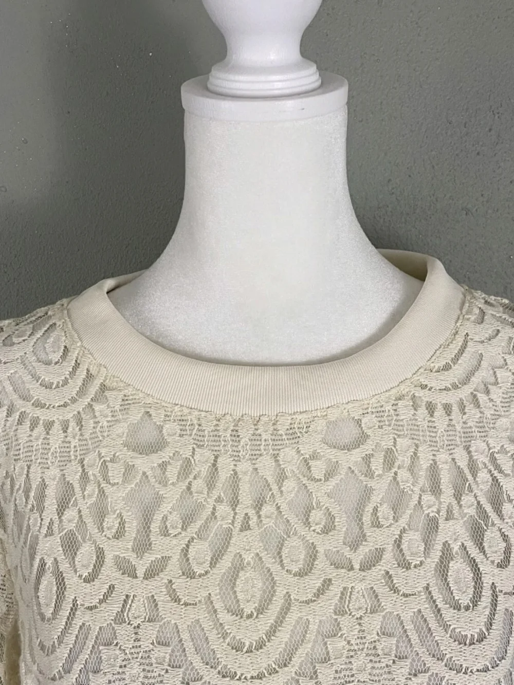 Banana Republic Ivory Crochet Lace Long Sleeve Top